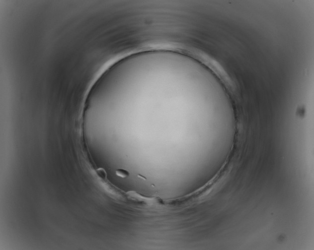X0000102241236200807250830