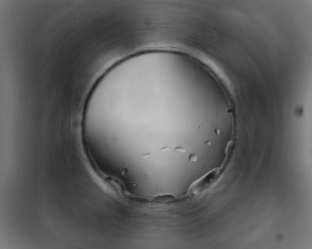 X0000102241237200807250830