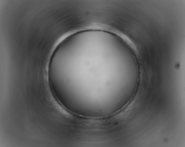 X0000102241238200807250830