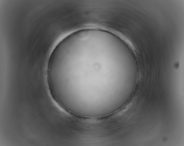X0000102241239200807250830