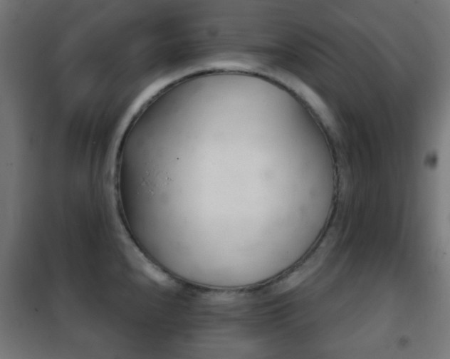 X0000102241240200807250830