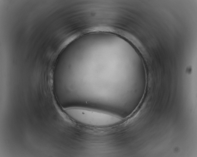X0000102241241200807250830