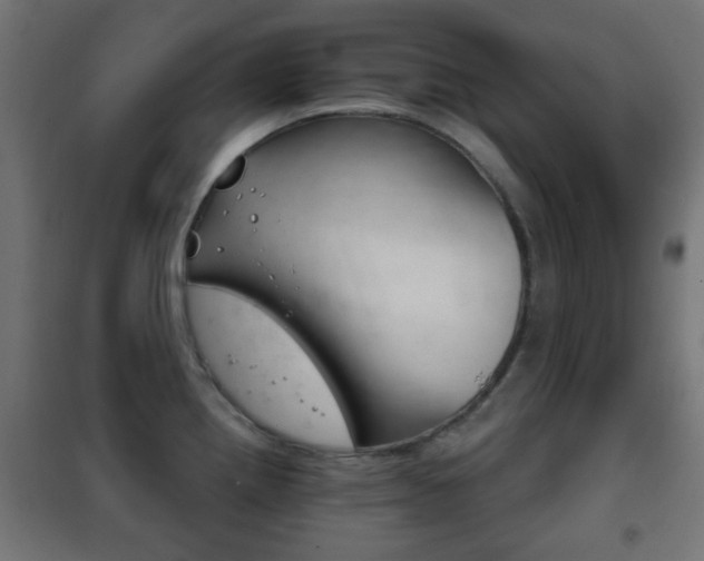 X0000102241242200807250830