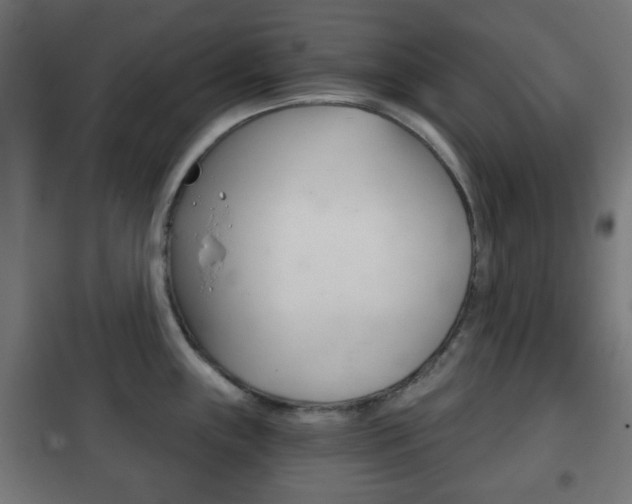 X0000102241243200807250830