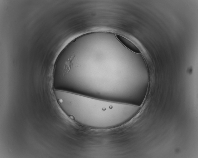 X0000102241244200807250830