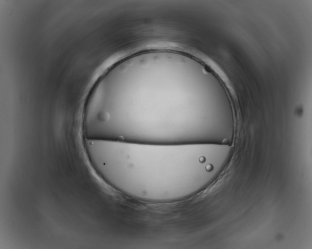 X0000102241245200807250830