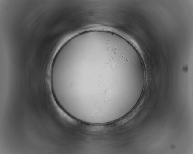X0000102241247200807250830