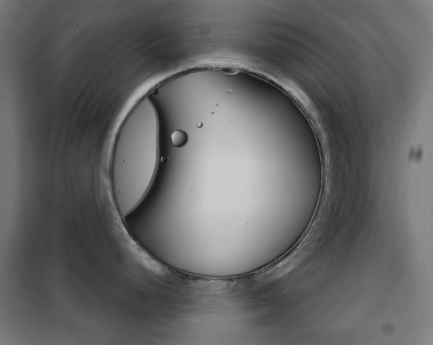 X0000102241248200807250830