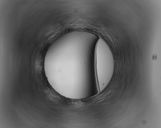 X0000102241250200807250829