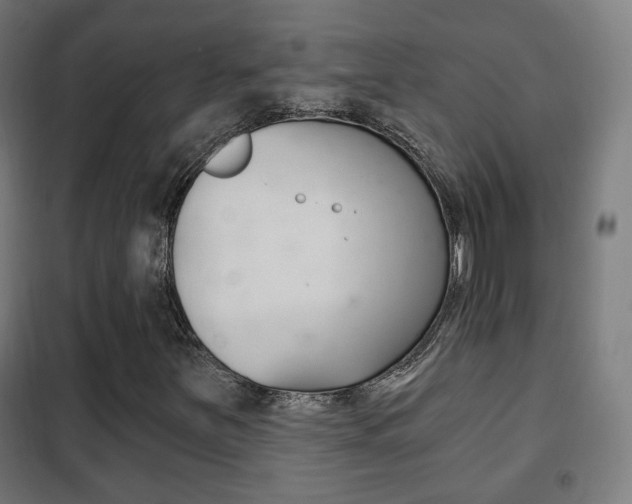 X0000102241251200807250829