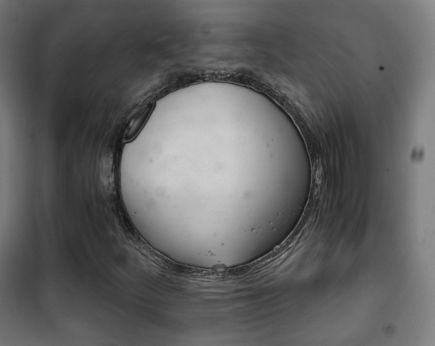 X0000102241252200807250829