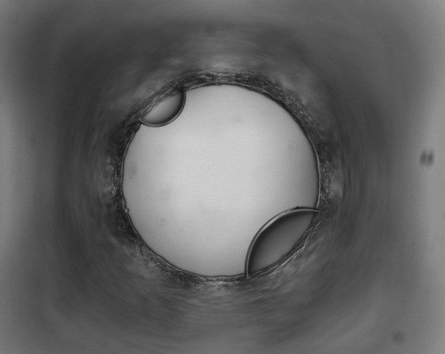 X0000102241253200807250829