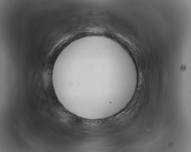 X0000102241254200807250829