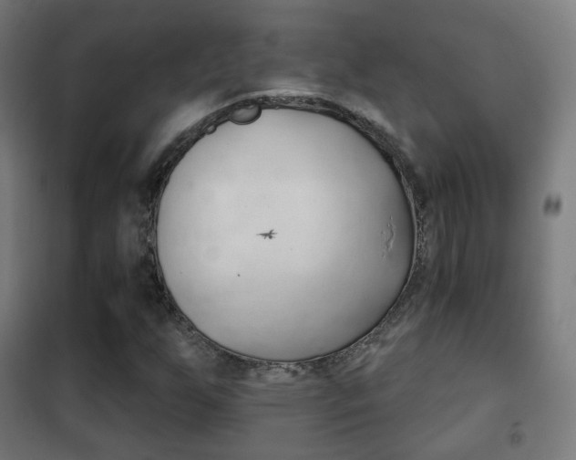 X0000102241255200807250829