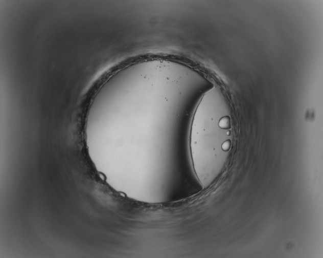 X0000102241256200807250829