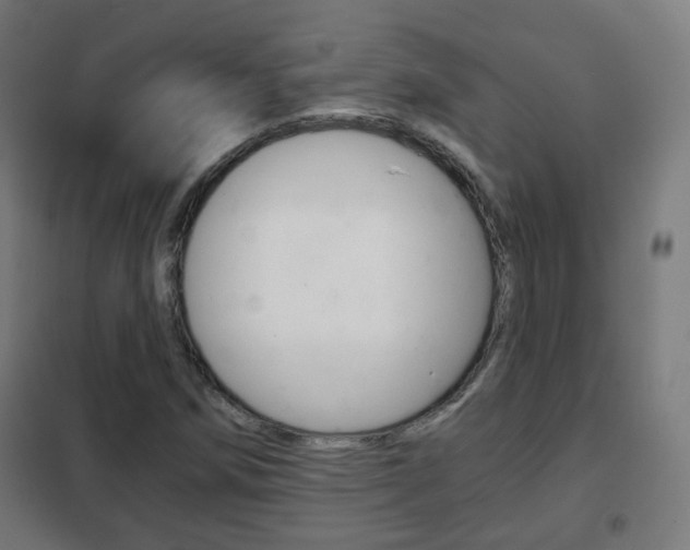 X0000102241258200807250829