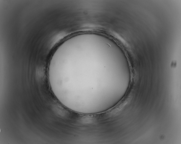 X0000102241259200807250829