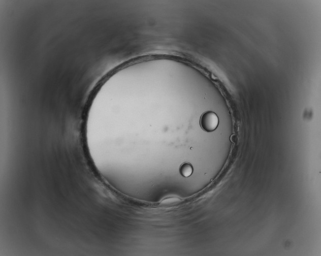 X0000102241260200807250829