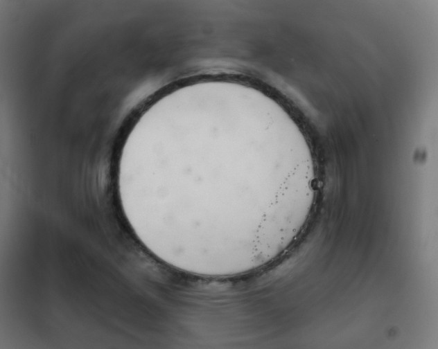 X0000102241261200807250829