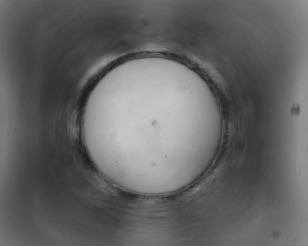 X0000102241262200807250829