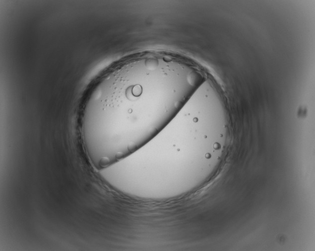 X0000102241263200807250829