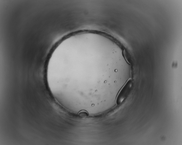 X0000102241264200807250829