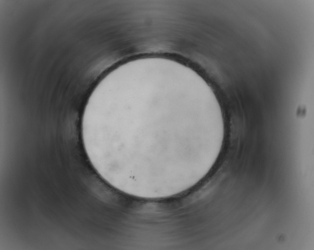 X0000102241265200807250829