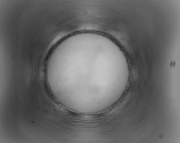 X0000102241266200807250829