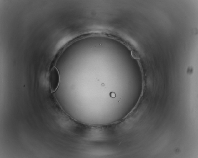 X0000102241267200807250829