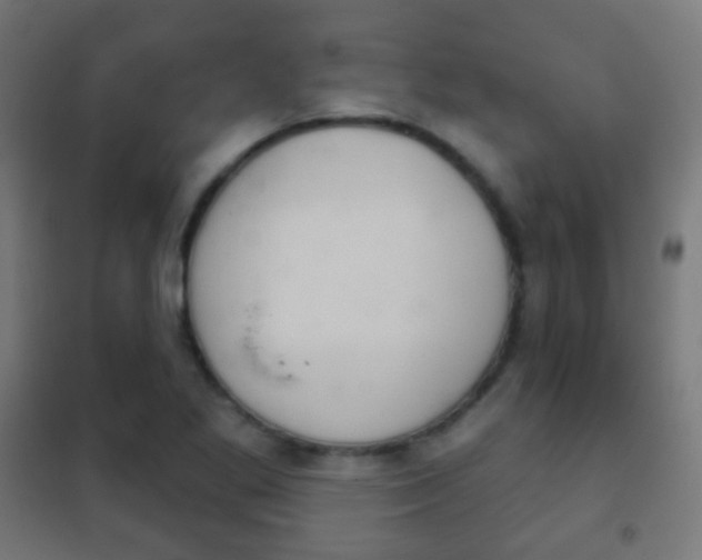 X0000102241269200807250829
