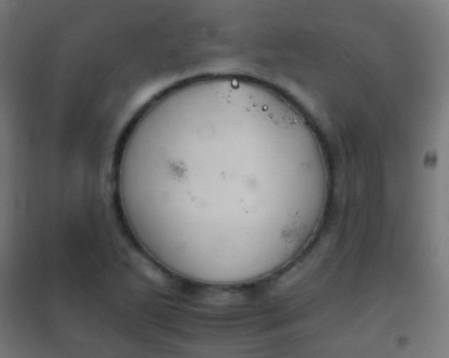 X0000102241270200807250829