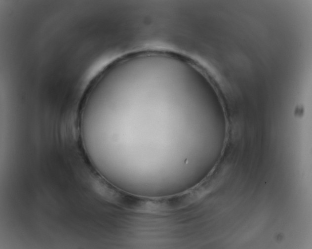 X0000102241271200807250829