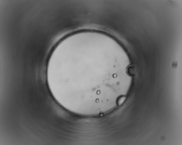X0000102241272200807250829