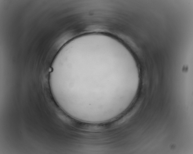 X0000102241273200807250829
