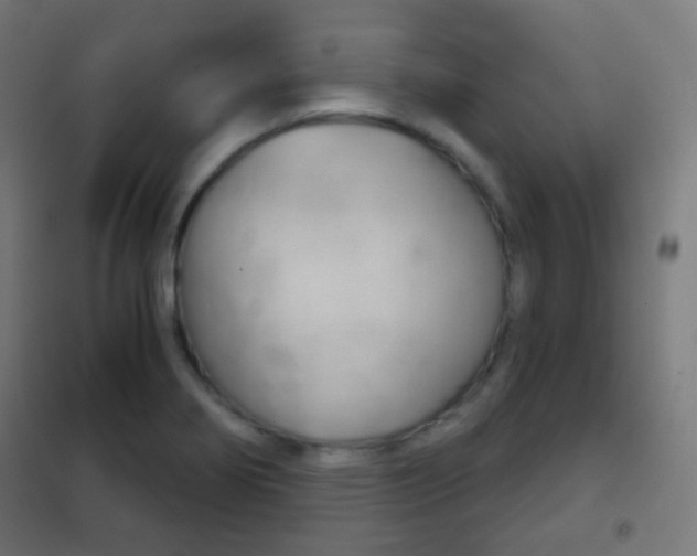 X0000102241274200807250829