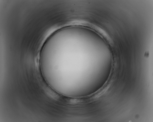 X0000102241275200807250829