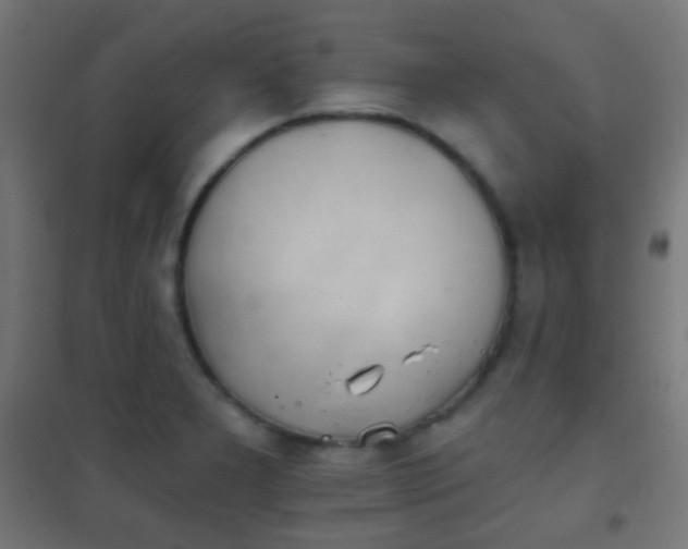 X0000102241277200807250829