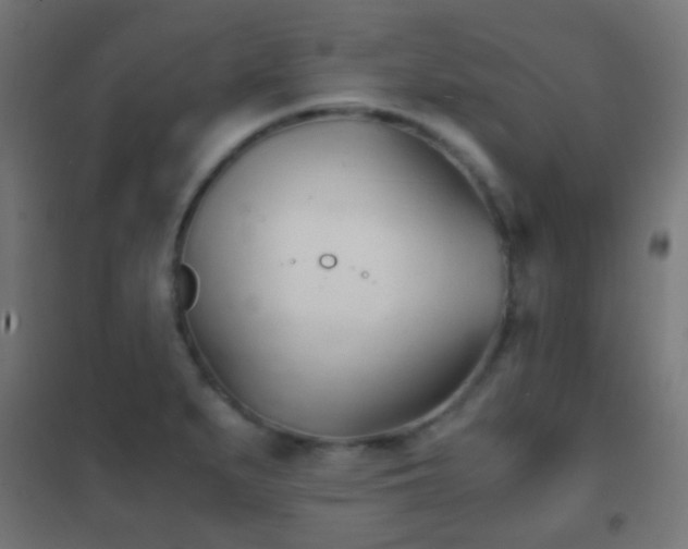 X0000102241279200807250829