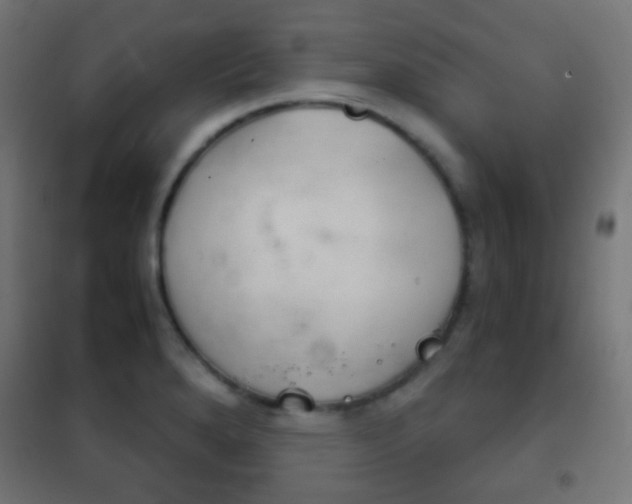 X0000102241280200807250829