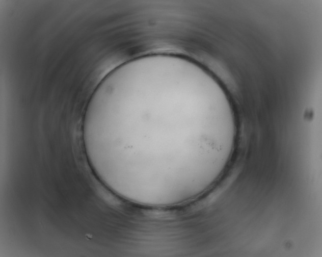 X0000102241281200807250829