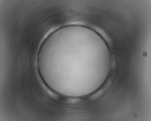 X0000102241282200807250829
