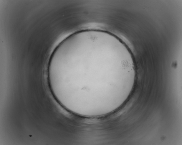 X0000102241285200807250829