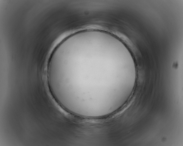 X0000102241286200807250829