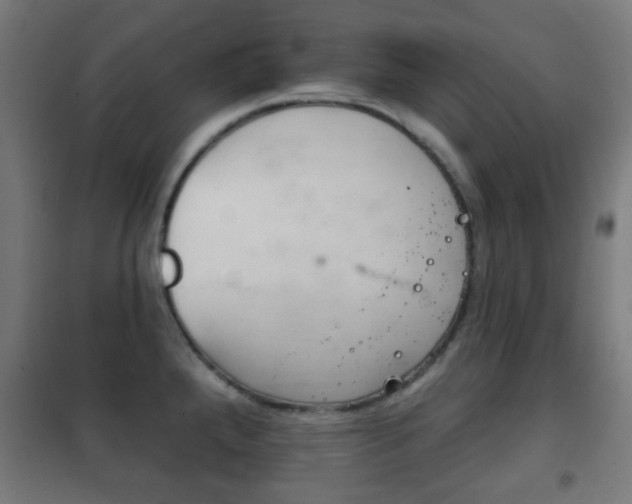 X0000102241288200807250829