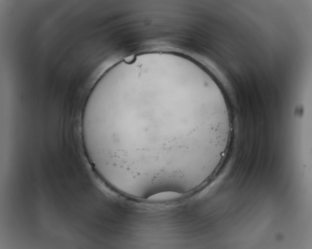 X0000102241289200807250829
