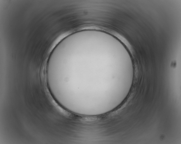 X0000102241290200807250829