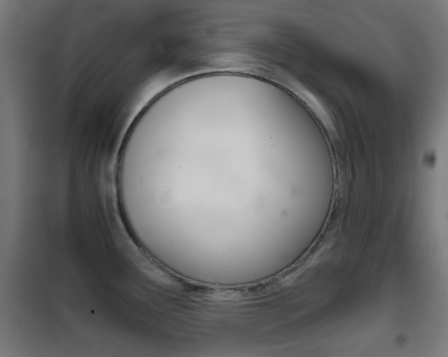 X0000102241291200807250829