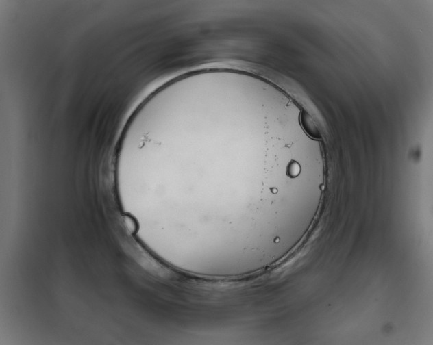 X0000102241292200807250829