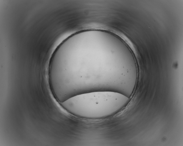 X0000102241293200807250829