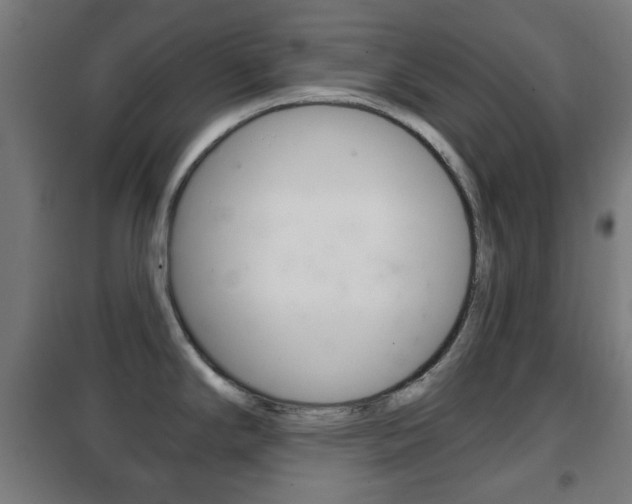 X0000102241294200807250829
